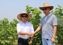 �����c�｛(j��ng)�����L�۲���ؿ���